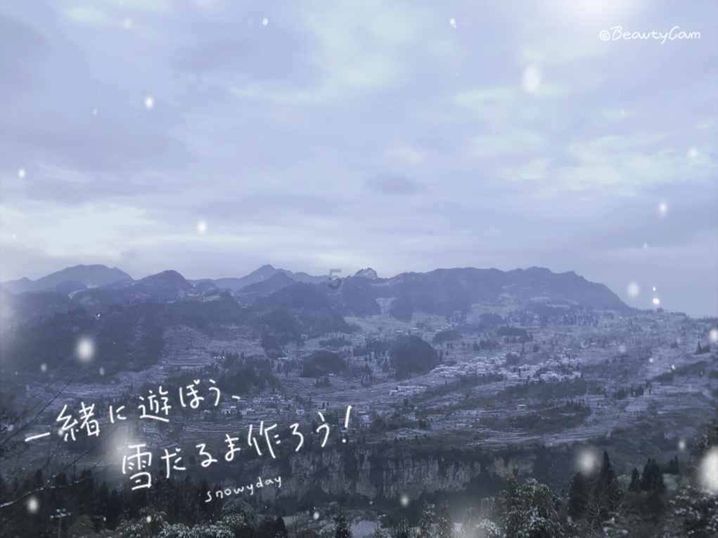 拯救昆虫群