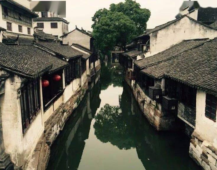 新熊出没找不同